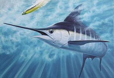 Lock On - Striped Marlin by Setsuo Hamanaka