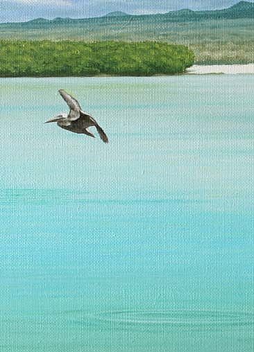 Paraiso - Detail - Brown Pelican by Setsuo Hamanaka