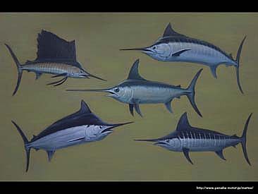 Super Grand Slam - Billfishes in Japanese water by Setsuo Hamanaka