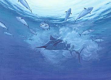 Predator - Bonito and Marlin by Setsuo Hamanaka