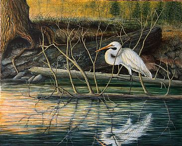A Question of Balance - White Egret by C. Frederick Lawrenson