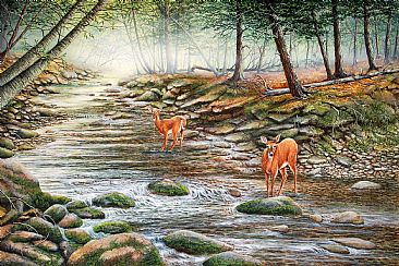 Asaph Morn - Asaph Creek and deer by C. Frederick Lawrenson