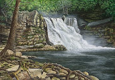Abram's Falls - Landscape by C. Frederick Lawrenson