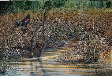 Staking Out a Claim - Red-winged blackbird by C. Frederick Lawrenson