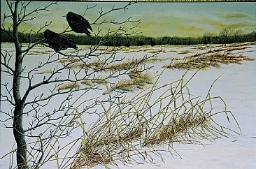 March Starlings - Starlings by C. Frederick Lawrenson