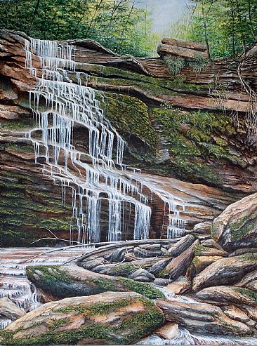 Northern Rain Forest - Canyon Waterfall by C. Frederick Lawrenson
