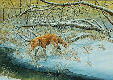 Thin Ice - Red Fox by C. Frederick Lawrenson