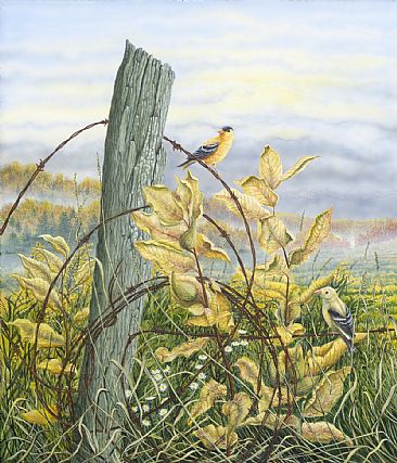 Unfinished Business - Unfinished Fence Line and Gold Finches by C. Frederick Lawrenson