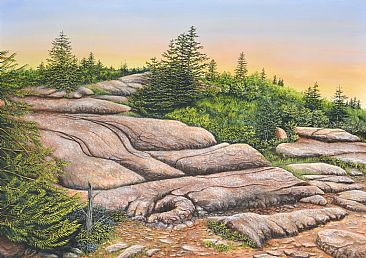 The Granite Stream - Cadillac Mountain by C. Frederick Lawrenson