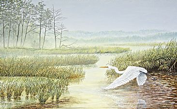 Under the Radar - White Egret by C. Frederick Lawrenson