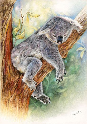 Koala - Painting Art by Geraldine Simmons