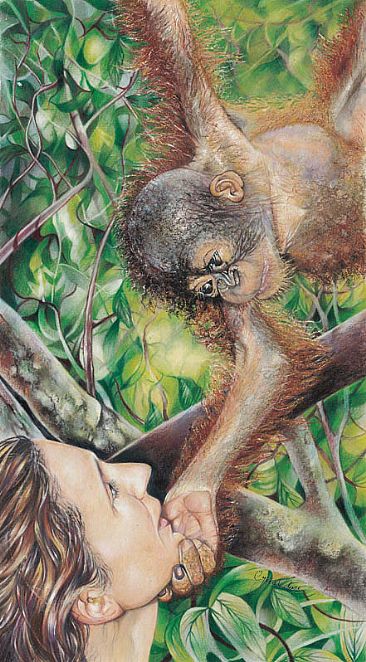 Let's Face It - Baby Orang-utan by Geraldine Simmons