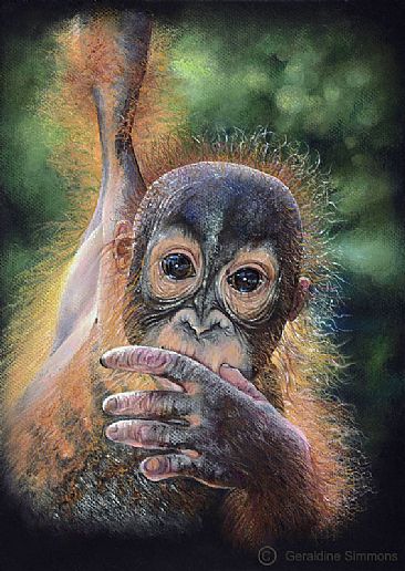 Hanging On for Dear Life - Baby oragnutan by Geraldine Simmons