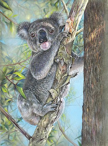 Tree Top - Koala by Geraldine Simmons