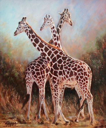 Reticulated Giraffes -  by Angela Drysdale