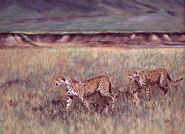 Cheetah Brothers - Two male cheetahs on the floor of the Ngorongoro Crater  by Angela Drysdale