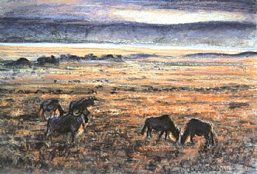 Crater Sunset - Wildebeest at Sunset, Ngorongoro Crater by Angela Drysdale