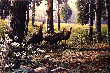 Coming Off The Greenfield - Wild Turkeys by Larry Chandler