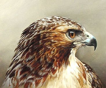 Eye of the Predator II - Red-Tailed Hawk Head Study by Larry Chandler
