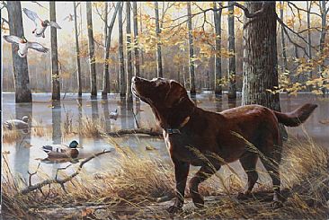 Flooded Timber Magic - Chocolate Lab & Mallard Ducks in Flooded Timber by Larry Chandler