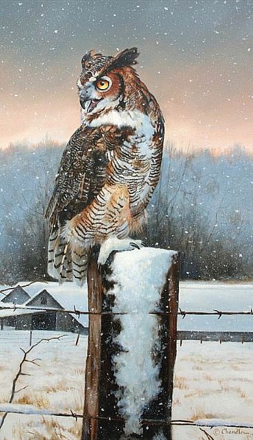 Not A Creature Was Stirring...Not Even A Mouse - Great Horned Owl by Larry Chandler