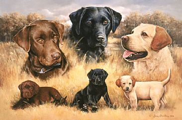 When Rascals Become Legends - Black Labrador, Yellow Labrador, and Chocolate Labrador by Larry Chandler