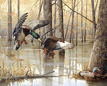 Seasons Continue - Mallard Ducks & Antique Decoy in flooded timber by Larry Chandler