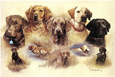 The Nobles - Black Lab, Chocolate Lab, Yellow Lab, Golden Retriever, and Chesapeake Bay Retriever by Larry Chandler