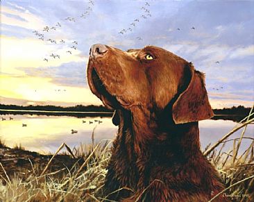 A Nose for the Business - Chocolate Labrador by Larry Chandler