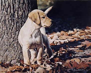 Custard - Yellow Labradador Puppy by Larry Chandler