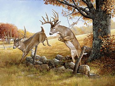 High Tailin' It - White Tail Deer by Larry Chandler