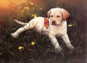 How Time Flies - Yellow Labrador Puppy & Butterfly by Larry Chandler