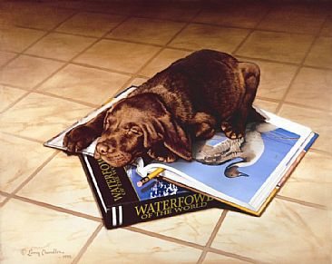 Research Lab - Chocolate Labrador Puppy by Larry Chandler