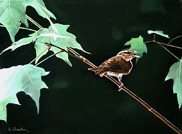The Early Bird Gets the Worm - Worm Eating Warbler by Larry Chandler
