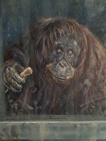 Those Quiet Evenings In - Orangutan (female) by Gregory Wellman