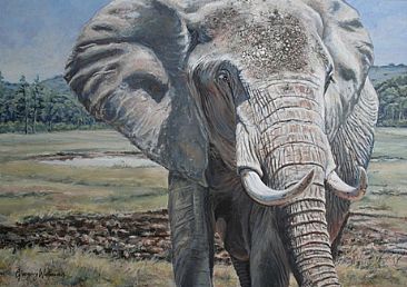 Close Encounter - Elephant mother by Gregory Wellman