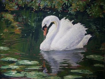 Mute Swan, Grand Western Canal - Mute Swan by Gregory Wellman