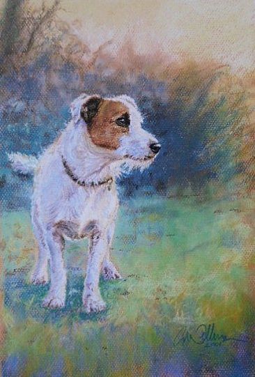 Jack - Jack Russell Terrier, early morning by Gregory Wellman