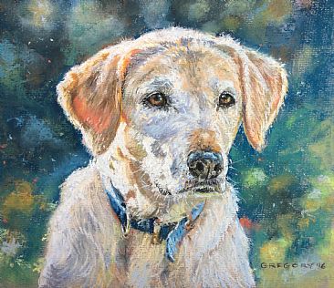 Barney - Labrador dog by Gregory Wellman