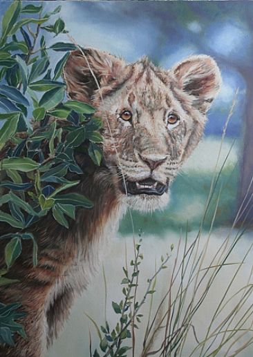 Untitled - Young lion by Gregory Wellman