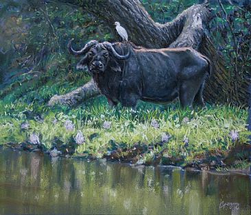 Zambezi Morning - Cape Buffalo by Gregory Wellman