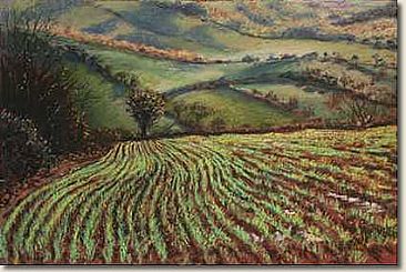 Toward Butterleigh Top - Landscape by Gregory Wellman