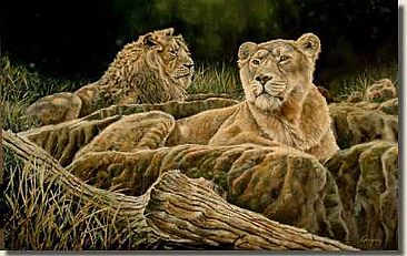 Pride of Asia - Asiatic Lions by Gregory Wellman