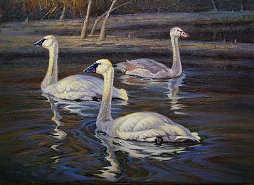 Family Ties - Tundra Swans by Jack Koonce