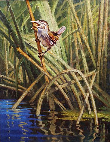 Marsh Wren - Wrens by Jack Koonce