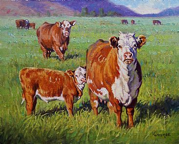 That's Close Enough - Hereford Cows by Jack Koonce