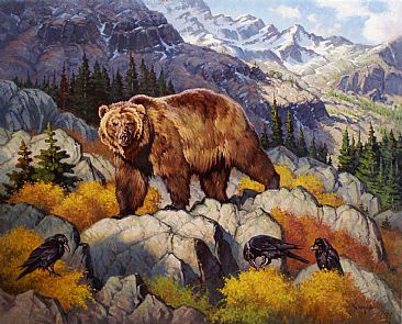 The High Life - Grizzly and Ravens by Jack Koonce