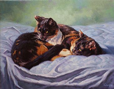 Siblings - Domestic Cat by Jack Koonce