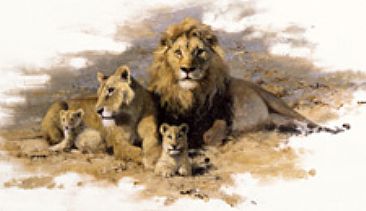Pride of Kalahari - Lions by David Shepherd