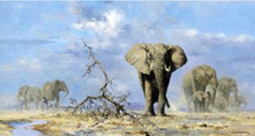 Stormy Skies - Elephants by David Shepherd